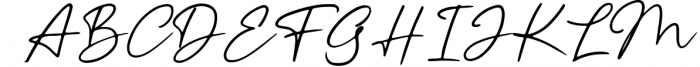 Thenaturalist Caligraphy Wedding Font Font UPPERCASE