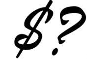 Thirtylane - Modern Script Font OTHER CHARS