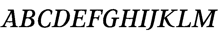 THE ITALIC FONT FONT