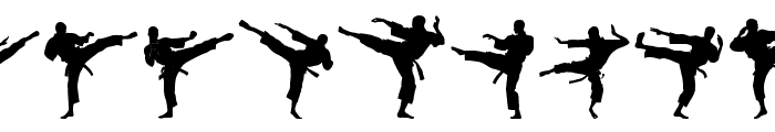 The Karate Do ST Font UPPERCASE