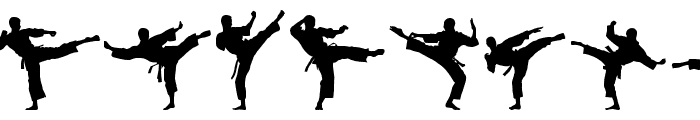 The Karate Do ST Font LOWERCASE