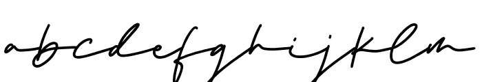 the Strong Signature Font LOWERCASE