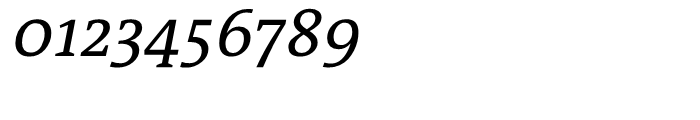 TheAntiquaB C2 Plain Italic Font OTHER CHARS
