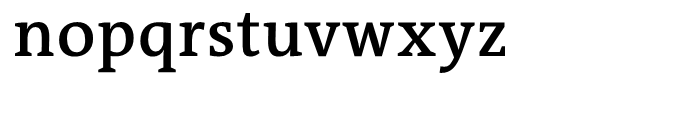 TheAntiquaB C3c SemiBold Font LOWERCASE