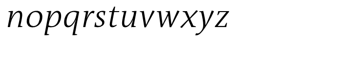 TheAntiquaB E2s plus Phonetic Light Italic Font LOWERCASE