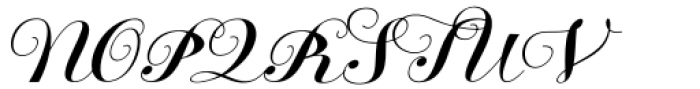 The Calligraphy Regular Font UPPERCASE
