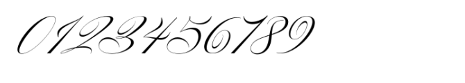 The Cartography Calligraphy Font OTHER CHARS