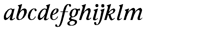 The Foriene Serif Italic FONT