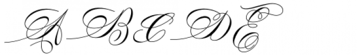 The Fottina Script Regular Font UPPERCASE