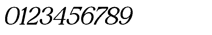 The Jastin The Jasthin Variable Thin Oblique Font OTHER CHARS