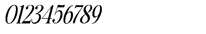 The Kayla Editorial Condensed Italic Font OTHER CHARS
