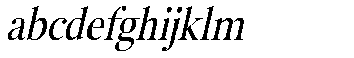 The Kayla Editorial Oblique Narrow FONT