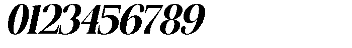 The Musa Editorial Condensed Slant Font OTHER CHARS