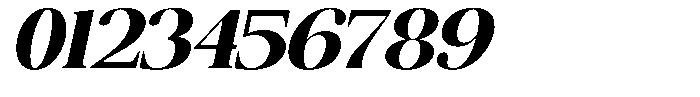 The Musa Editorial Expanded Slant Font OTHER CHARS