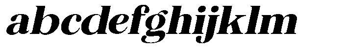 The Musa Editorial Expanded Slant FONT