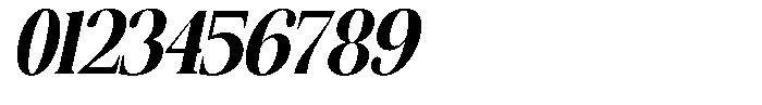 The Musa Editorial Extra Condensed Slant Font OTHER CHARS
