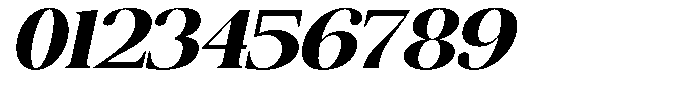 The Musa Editorial Extra Expanded Slant Font OTHER CHARS