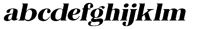 The Musa Editorial Extra Expanded Slant FONT