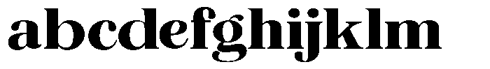 The Musa Editorial Extra Expanded FONT