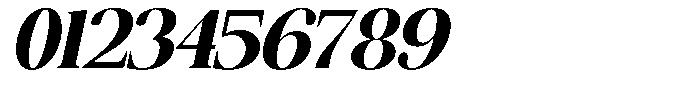 The Musa Editorial Slant Font OTHER CHARS