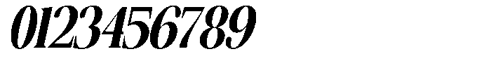 The Musa Editorial Ultra Condensed Slant Font OTHER CHARS