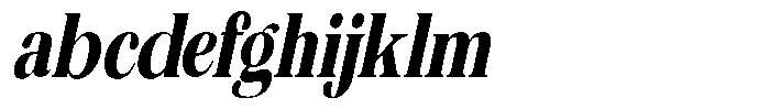 The Musa Editorial Ultra Condensed Slant FONT