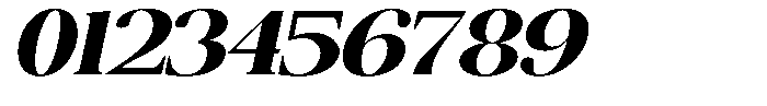 The Musa Editorial Ultra Expanded Slant Font OTHER CHARS
