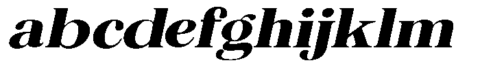 The Musa Editorial Ultra Expanded Slant FONT