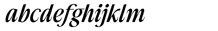 The Reading Wogue Expanded Italic Narrow FONT