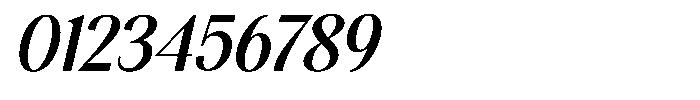 The Reading Wogue Expanded Oblique Font OTHER CHARS