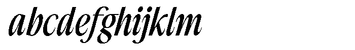 The Reading Wogue Italic Narrow FONT