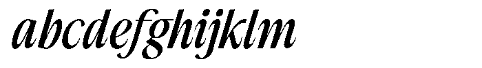 The Reading Wogue Italic FONT