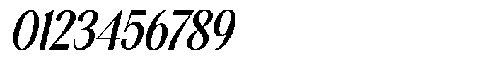 The Reading Wogue Oblique Font OTHER CHARS