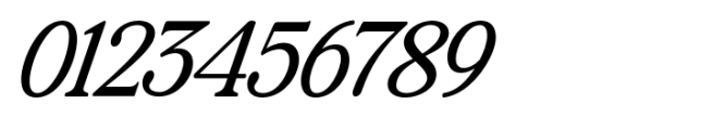 The Zondaya Gevola Expanded Contrast Italic Font OTHER CHARS