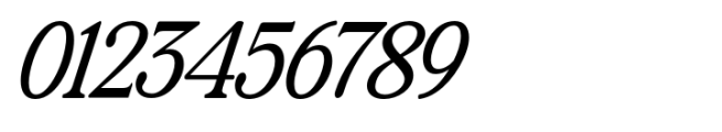 The Zondaya Gevola Expanded Italic Narrow Contrast Font OTHER CHARS