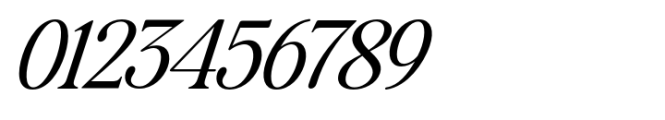 The Zondaya Gevola Expanded Italic Narrow Font OTHER CHARS