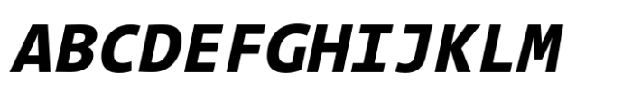 TheSans Mono ExtraBold Italic Font UPPERCASE