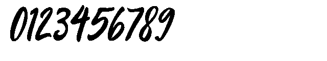 Thunder Bloom Italic Font OTHER CHARS