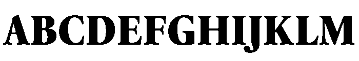 Thesaurus Black Font UPPERCASE