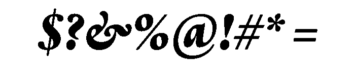 Thesaurus BlackItalic Font OTHER CHARS