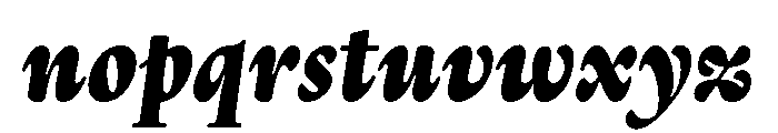 Thesaurus BlackItalic Font LOWERCASE