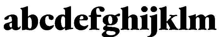 Thesaurus Black FONT