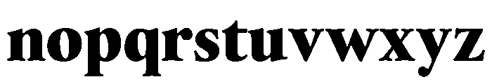 Thesaurus Black Font LOWERCASE