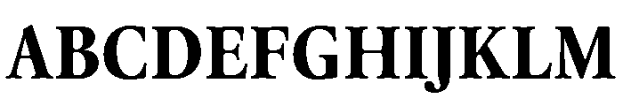 Thesaurus Bold Font UPPERCASE