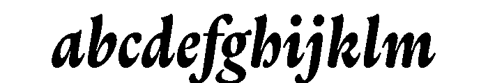 Thesaurus BoldItalic FONT