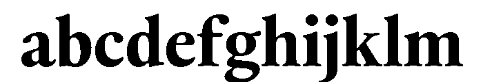 Thesaurus Bold FONT