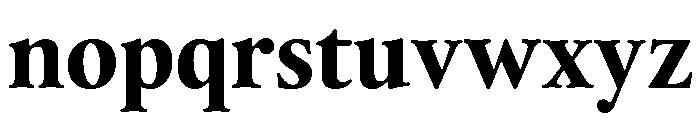 Thesaurus Bold Font LOWERCASE