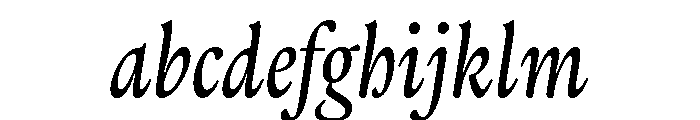 Thesaurus Italic FONT