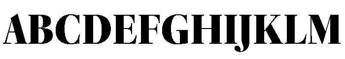 ThesaurusDisplay Black Font UPPERCASE