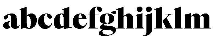 ThesaurusDisplay Black FONT